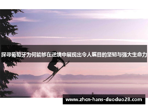 探寻葡萄牙为何能够在逆境中展现出令人瞩目的坚韧与强大生命力
