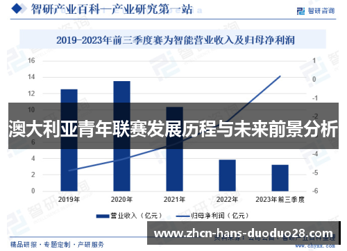 澳大利亚青年联赛发展历程与未来前景分析 澳大利亚青年联赛发展历程与未来前景分析