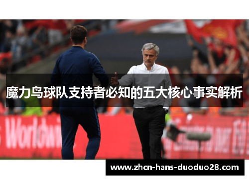 魔力鸟球队支持者必知的五大核心事实解析 魔力鸟球队支持者必知的五大核心事实解析